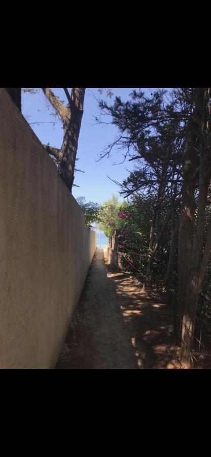 Appartamento Con Giardino A 50 M Dal Mare LʼÎle-Rousse Exterior foto