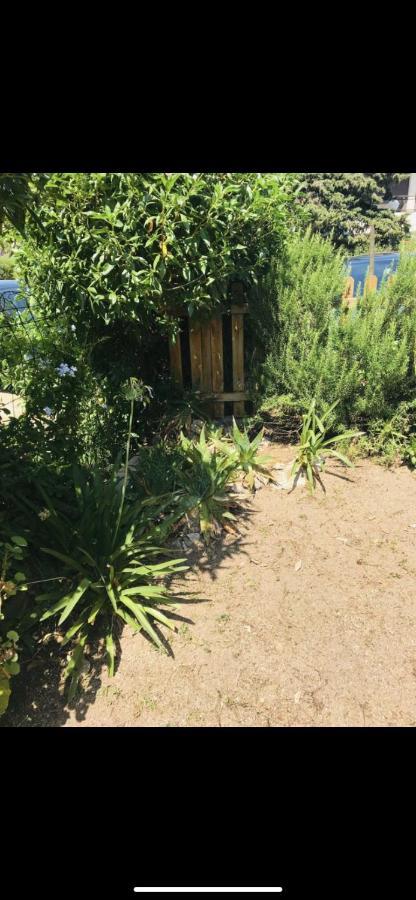 Appartamento Con Giardino A 50 M Dal Mare LʼÎle-Rousse Exterior foto